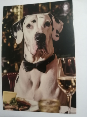 Dalmatialainen