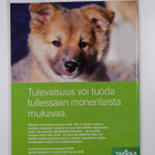 Koiramme 4/2011 - pikkukuva 2