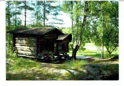 Jämsä, "Pälämäen aitat"