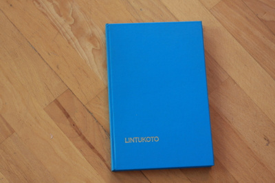 Salli Katila Lintukoto #6