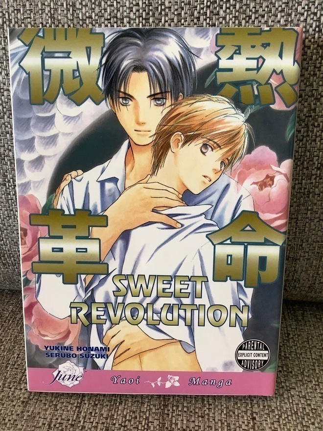 SWEET REVOLUTION (YAOI MANGA) ENGL.