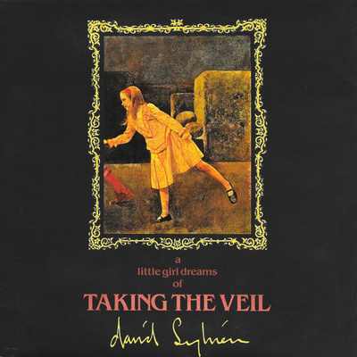 DAVID SYLVIAN . TAKING THE VEIL