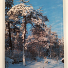 Raimo Suikkari : Suomen luontokuvia = Pictures of nature ... - pikkukuva 2