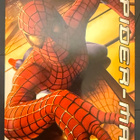 SPIDER-MAN BOOKLET VIHKONEN - pikkukuva 1