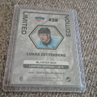 2025 2026 Blueline Limited Edition Yellow Lukas Zetterberg - pikkukuva 2