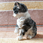 Harmaa-valkoinen kissanpentufiguuri - 13,5 cm - pikkukuva 3