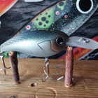 Shimano