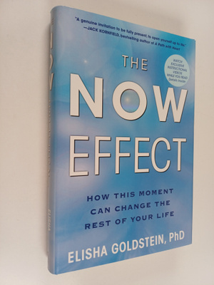 Elisha Goldstein : The Now Effect : How a Mindful Moment ...