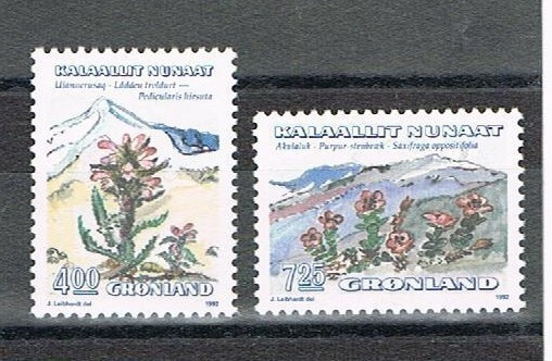 Grönlanti 1992 - Kukkia (2)  ++