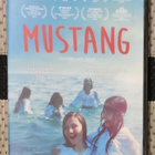 Mustang - pikkukuva 1