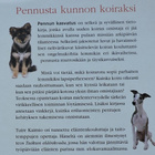 Tuire Kaimio: Pennun kasvatus - pikkukuva 2