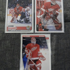 Chris Osgood x 8kpl / Detroit Red Wings - pikkukuva 2