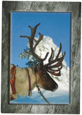 Lappi – Lapland (2007)