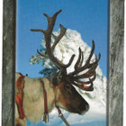 Lappi – Lapland (2007) - pikkukuva 1