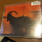 SLIPKNOT - IOWA CD NELJÄLLÄ NIMMARILLA - pikkukuva 2