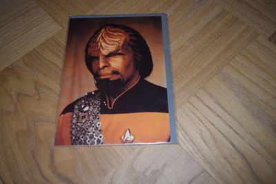 Star trek the next generation Lt. Worf