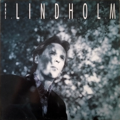 Dave Lindholm - Sillalla LP
