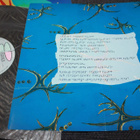 Robert Plant - Shaken n stirred LP - pikkukuva 4