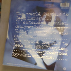 ALAN RANKINE : THE WORLD BEGINS TO LOOK HER AGE--VINYYLI 12" - pikkukuva 2