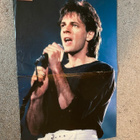 Rick Springfield juliste ja tarra + keräilykuva - pikkukuva 1