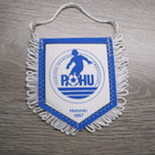 VIIRI, POHJOIS-HAAGAN URHEILIJAT POHU HELSINKI 1957 - pikkukuva 2