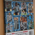 Newcastle United Season Review 1999-2000 (Match Club Guides) - pikkukuva 2
