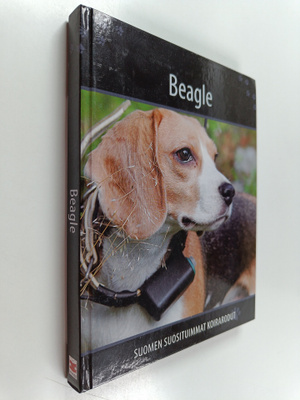 Beagle