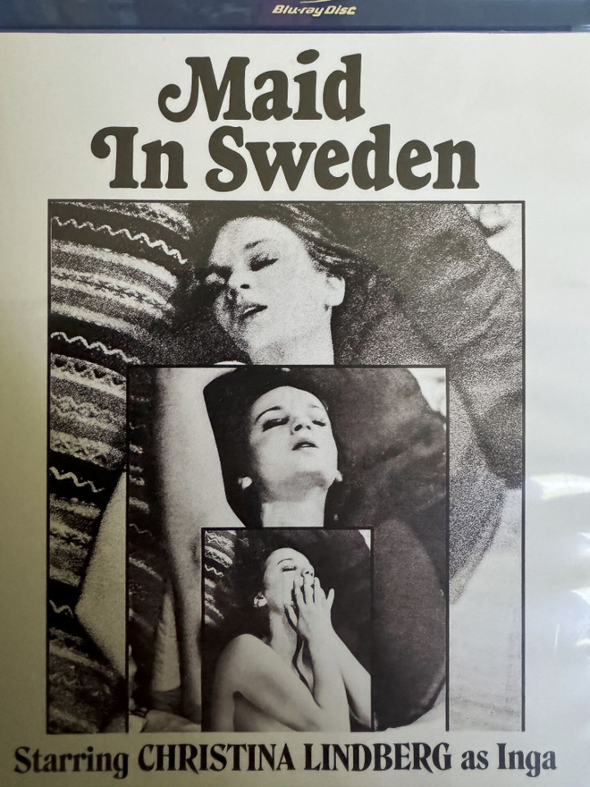Maid in Sweden
