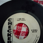 Bo Diddley sinkku - pikkukuva 2