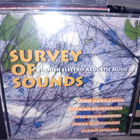 CD SURVEY OF SOUNDS ( SIS POSTIKULU ) - pikkukuva 1