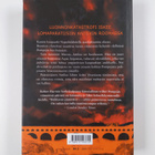 Robert Harris : Pompeji - pikkukuva 2