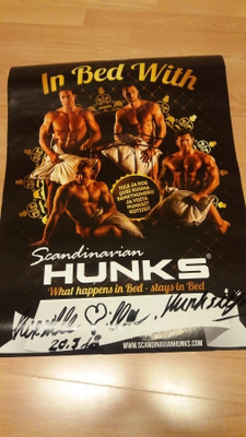 Skandinavian HUNKS Juliste