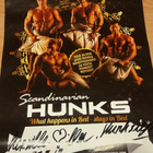 Skandinavian HUNKS Juliste - pikkukuva 1