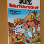 Goscinny - Uderzo : Asterixin harharetket ( 4.p. 1996 ) - pikkukuva 1