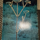 Erä 1/1979 - pikkukuva 2