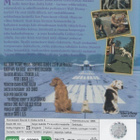 Kotia Kohti II :  Seikkailu San Franciscossa  -  DVD - pikkukuva 2