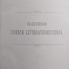 Henrik Schuck : Illustrerad svensk litteraturhistoria, 2:... - pikkukuva 2