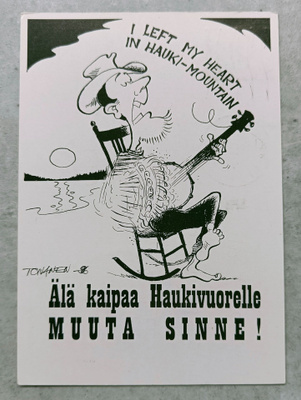 Mikkeli, Haukivuori