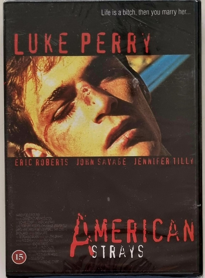 AMERICAN STRAYS - KOHTALON MATKASSA DVD