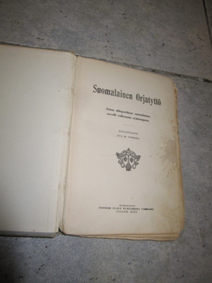 Suomalainen orjatyttö: ainoa alkuperäinen suom,,novelli 1917