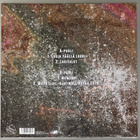 Apulanta: Make Nu Metal Great Again 12” vinyyli, uusi - pikkukuva 2