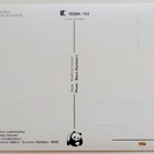 "Pihlaja"-KULKEMATON POSTIKORTTI - pikkukuva 2