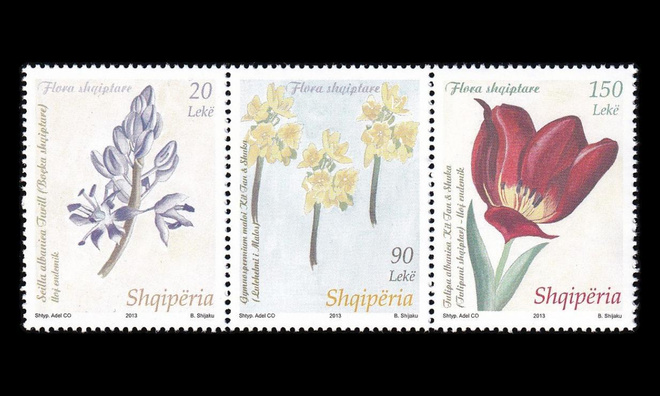 Albania 3431-3ds ** Kasveja (2013)