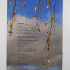 Senioriopettaja 5/2010 - pikkukuva 2