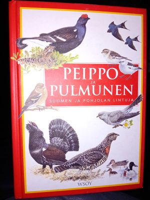 PEIPPO JA PULMUNEN ( SIS POSTIKULU)