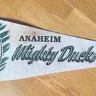 ANAHEIM MIGHTY DUCKS JOUKKUVIIRI NHL 1993 - pikkukuva 1
