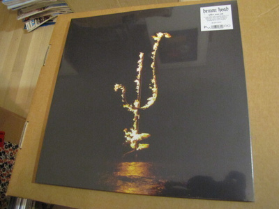 Demon Head Hellfire ocean void lp muoveissa musta vin 2paino