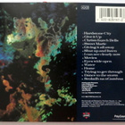 the HOTHOUSE FLOWERS Home CD 1990 HUIPPUKUNTO - pikkukuva 2