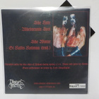 HORNA - VUOHIPAIMEN - UUSI 7" - pikkukuva 2