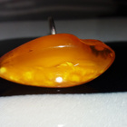 Vintage Honey egge amber, meripihka sormus - pikkukuva 2
